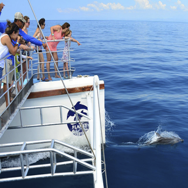 Planet Dolphin Catamarán Eco Adventures