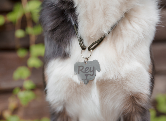 Portada RINCÓN DE LETTY