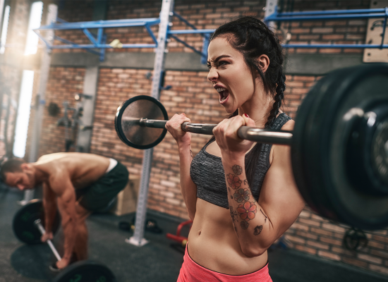 Portada SPORTLINK CENTER