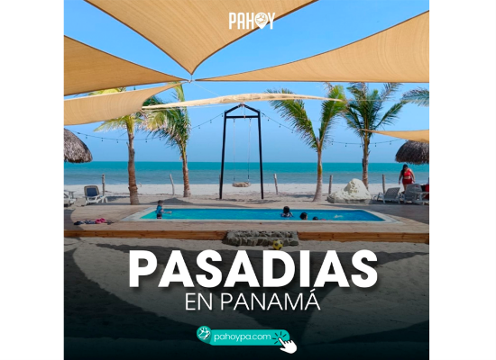 Portada PA HOY